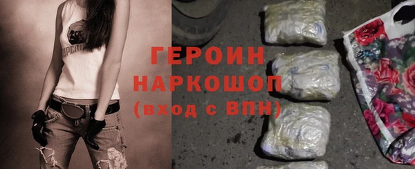 прущие грибы Коряжма