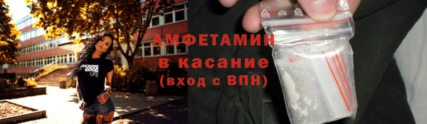 прущие грибы Коряжма