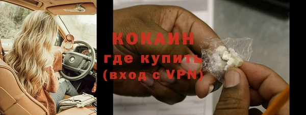 прущие грибы Коряжма