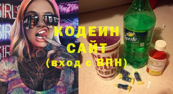 прущие грибы Коряжма