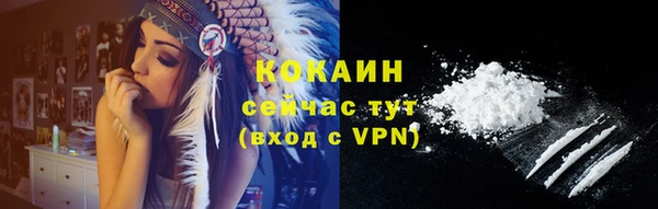 гидра Костерёво