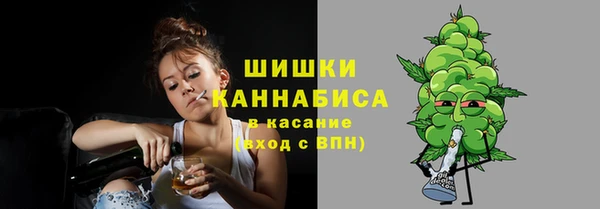 прущие грибы Коряжма