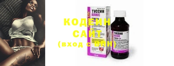 прущие грибы Коряжма
