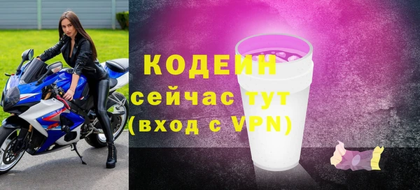 прущие грибы Коряжма
