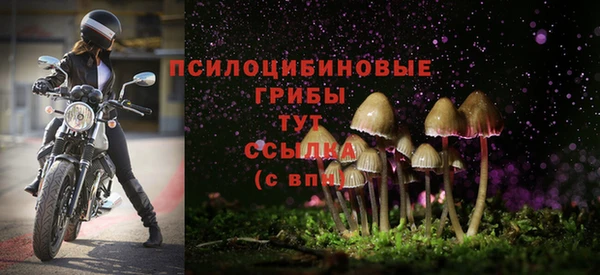 MESCALINE Корсаков