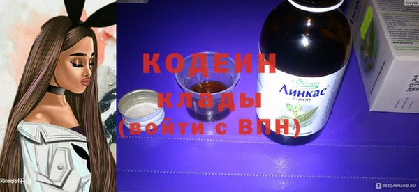 прущие грибы Коряжма