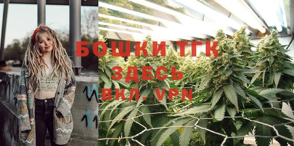 прущие грибы Коряжма