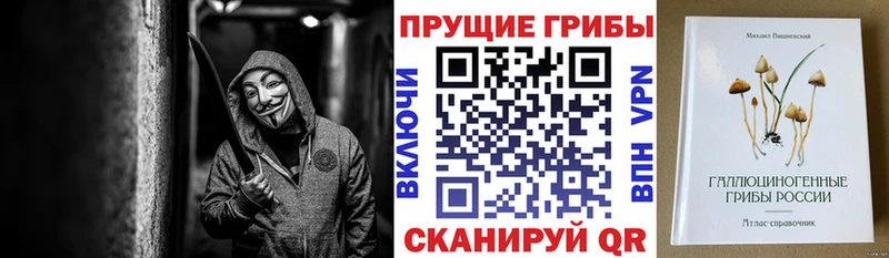 Галлюциногенные грибы Magic Shrooms  Купить закладки  Первомайск 